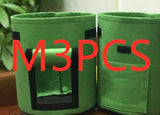 97cfe7a74afed75ef658189dd06052a6