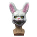 Bloody bunny