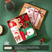 Christmas Gift Box D